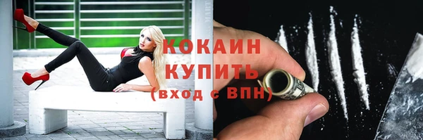 дурь Няндома