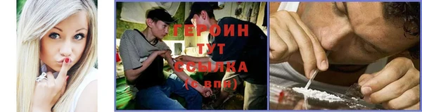дурь Няндома