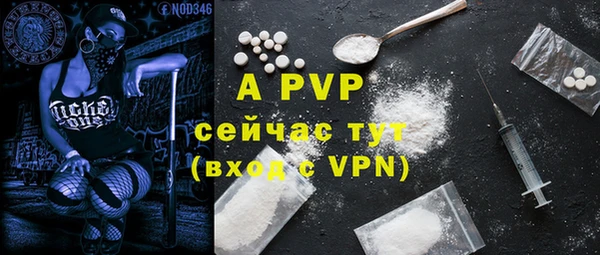 спиды Абаза